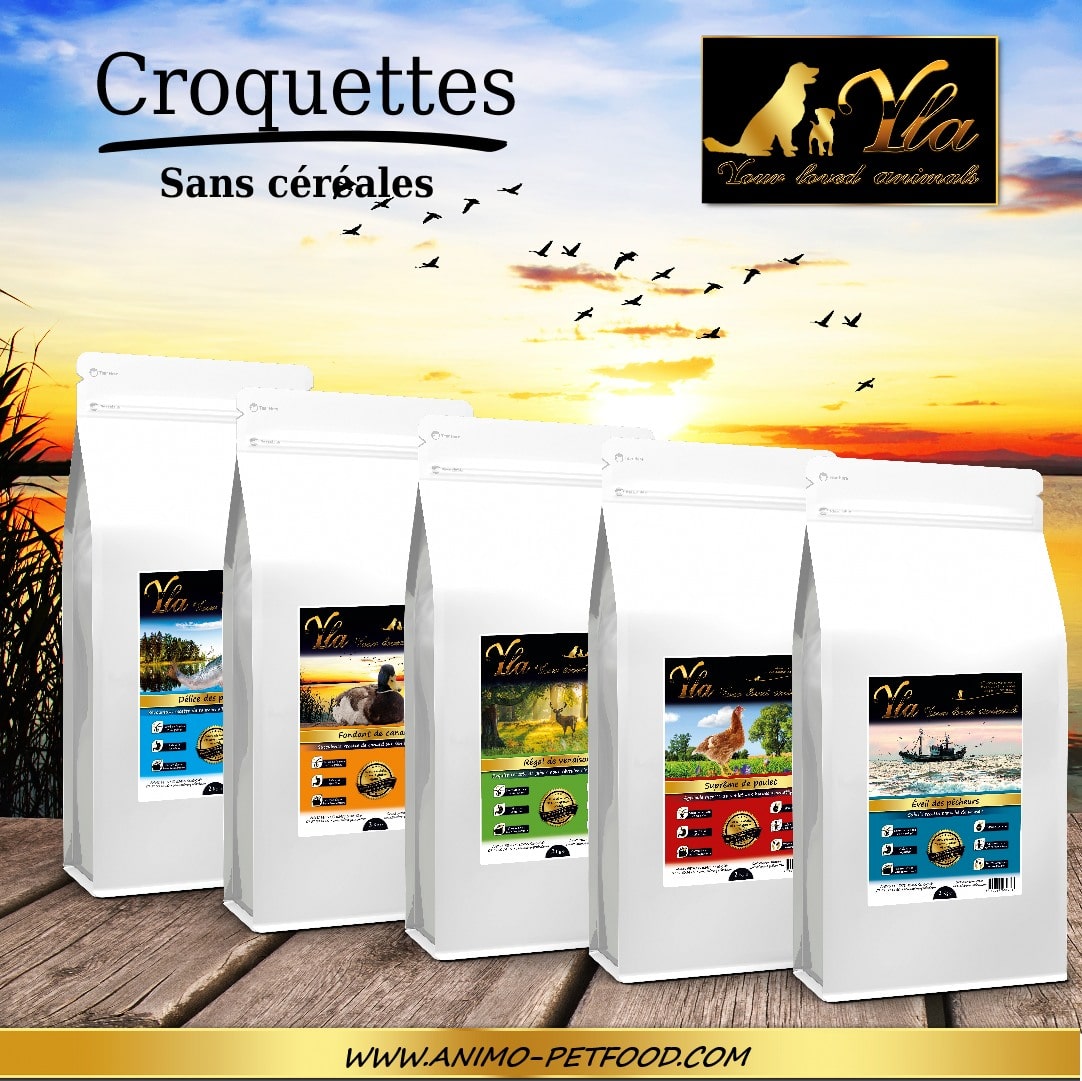 croquettes-sans-cereales-chiens